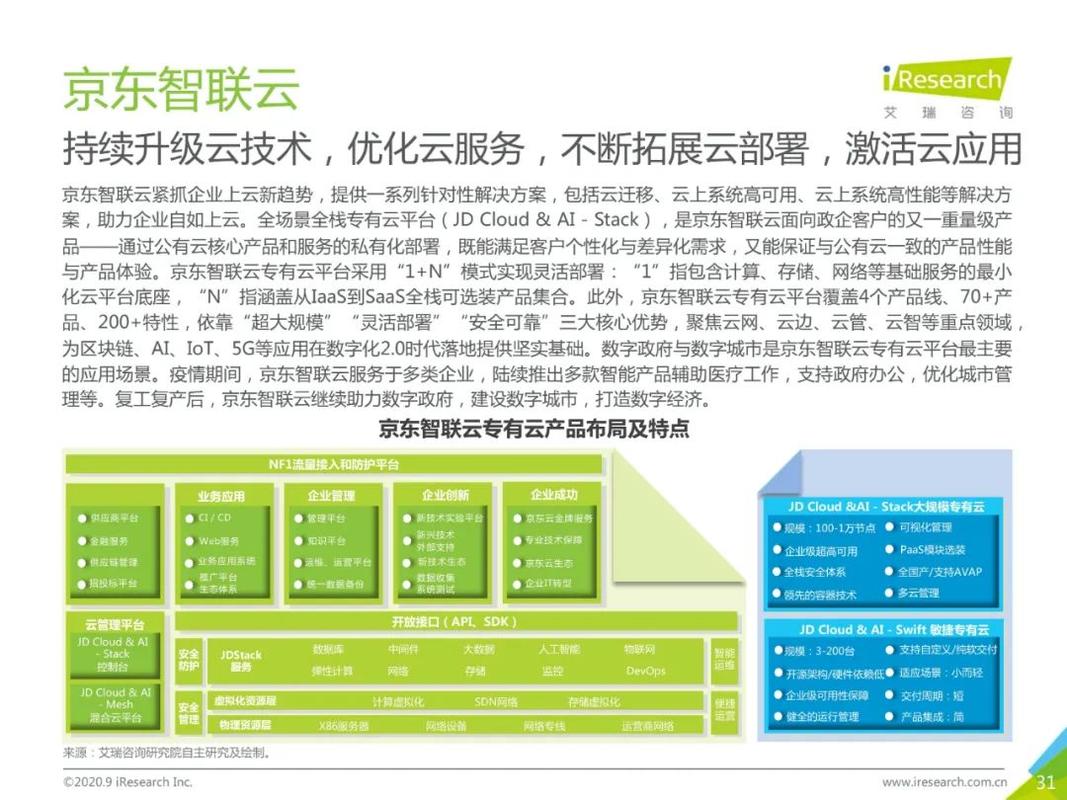 2020年中國基礎(chǔ)云服務(wù)行業(yè)發(fā)展洞察